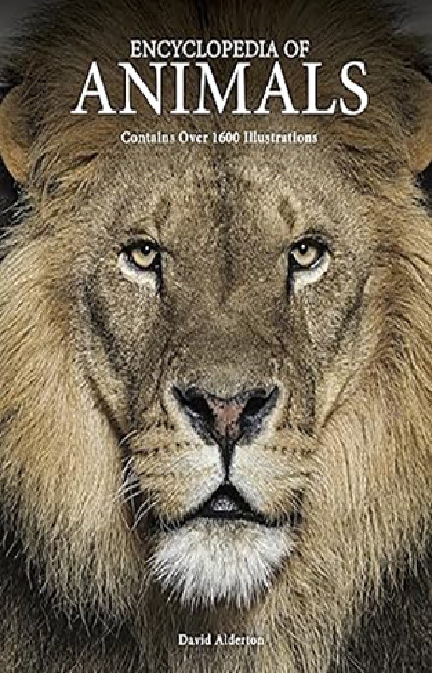 Encyclopedia of Animals (Encyclopedia Handbook)